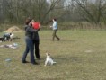 /album/dogfrisbee/p1020897-jpg/