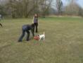 /album/dogfrisbee/p1020904-jpg/