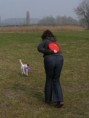 /album/dogfrisbee/p1020908-jpg/